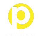 Perma-Lights logo